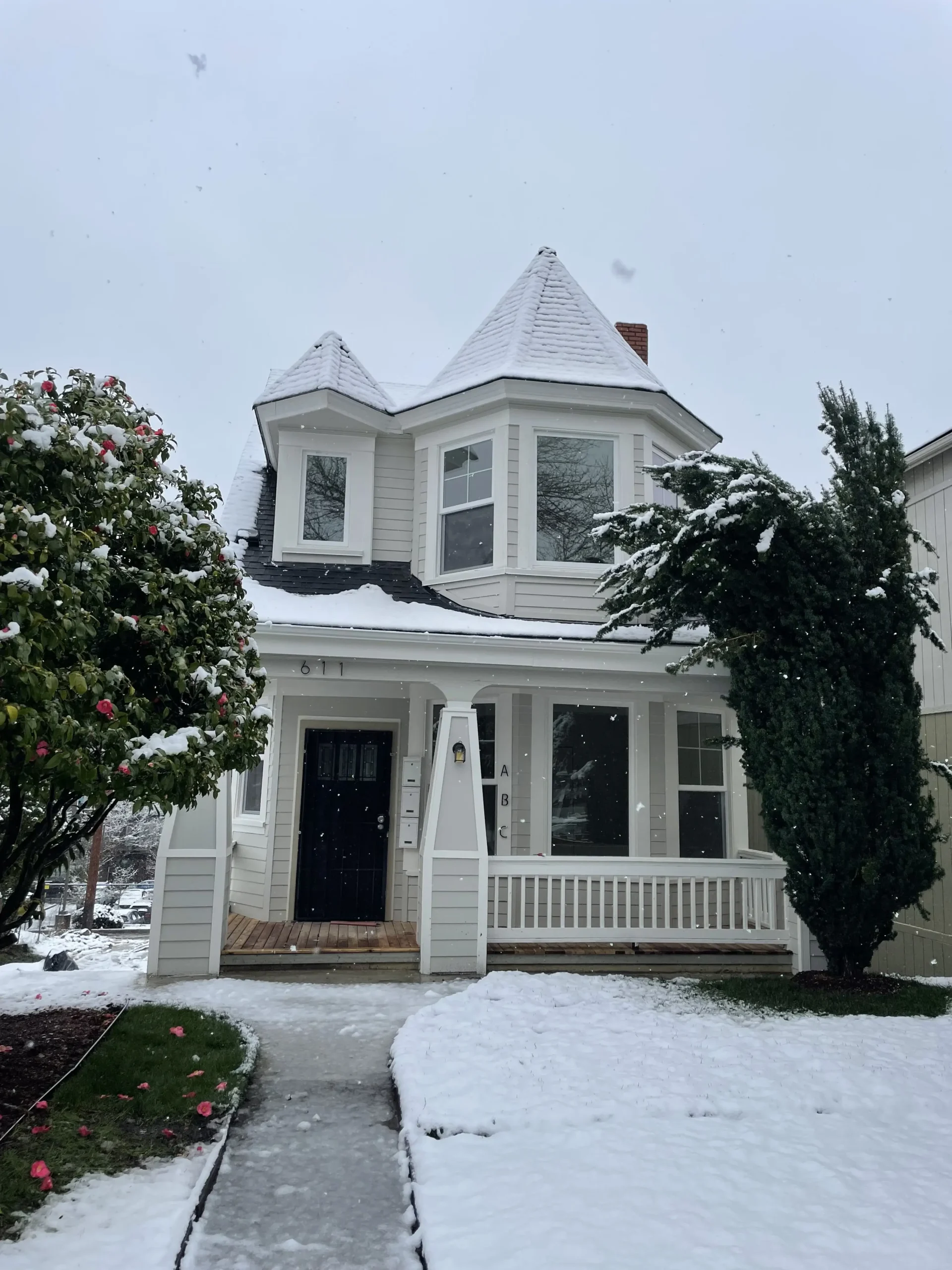 Triplex Renovation After